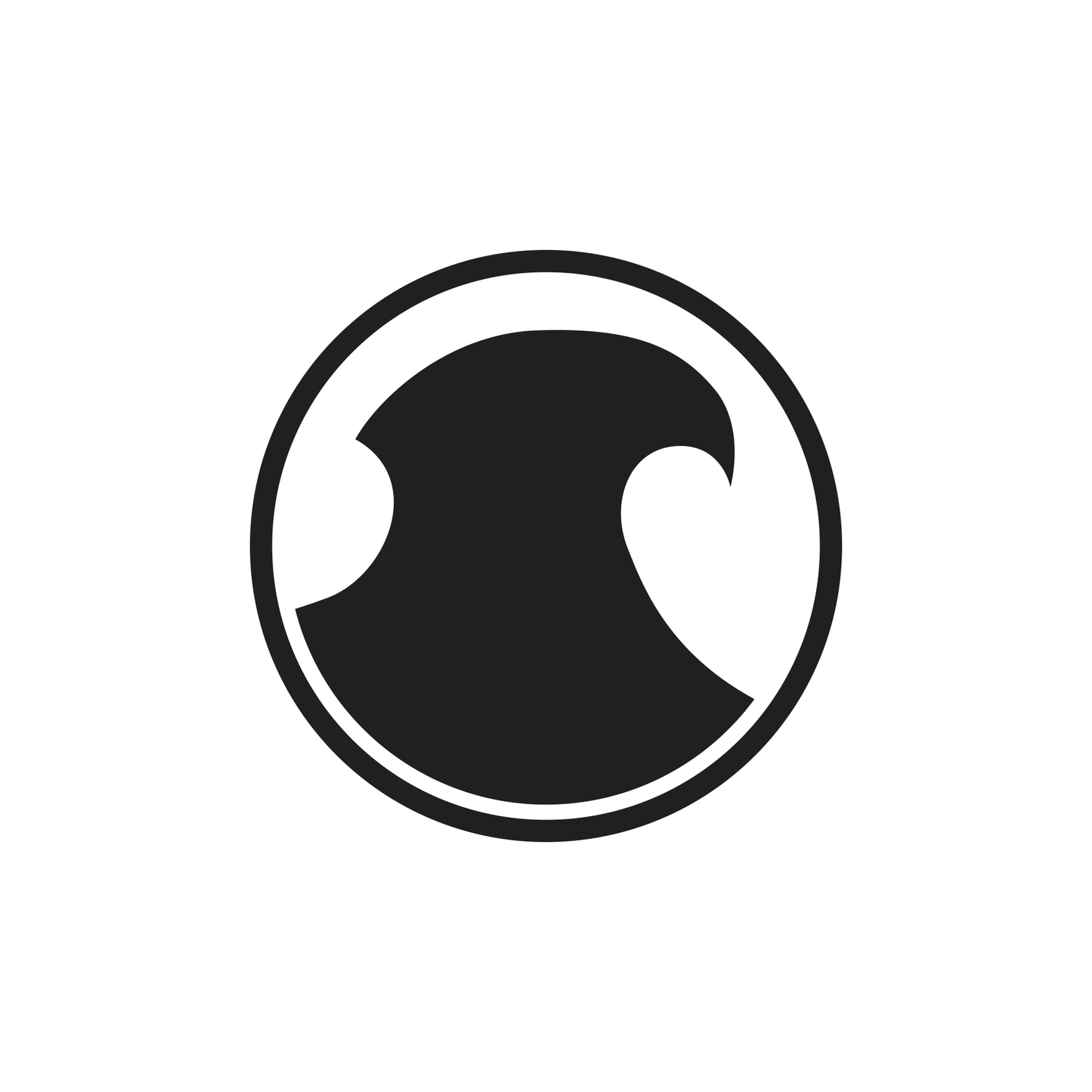 DC Comics Red Robin Symbol Logo