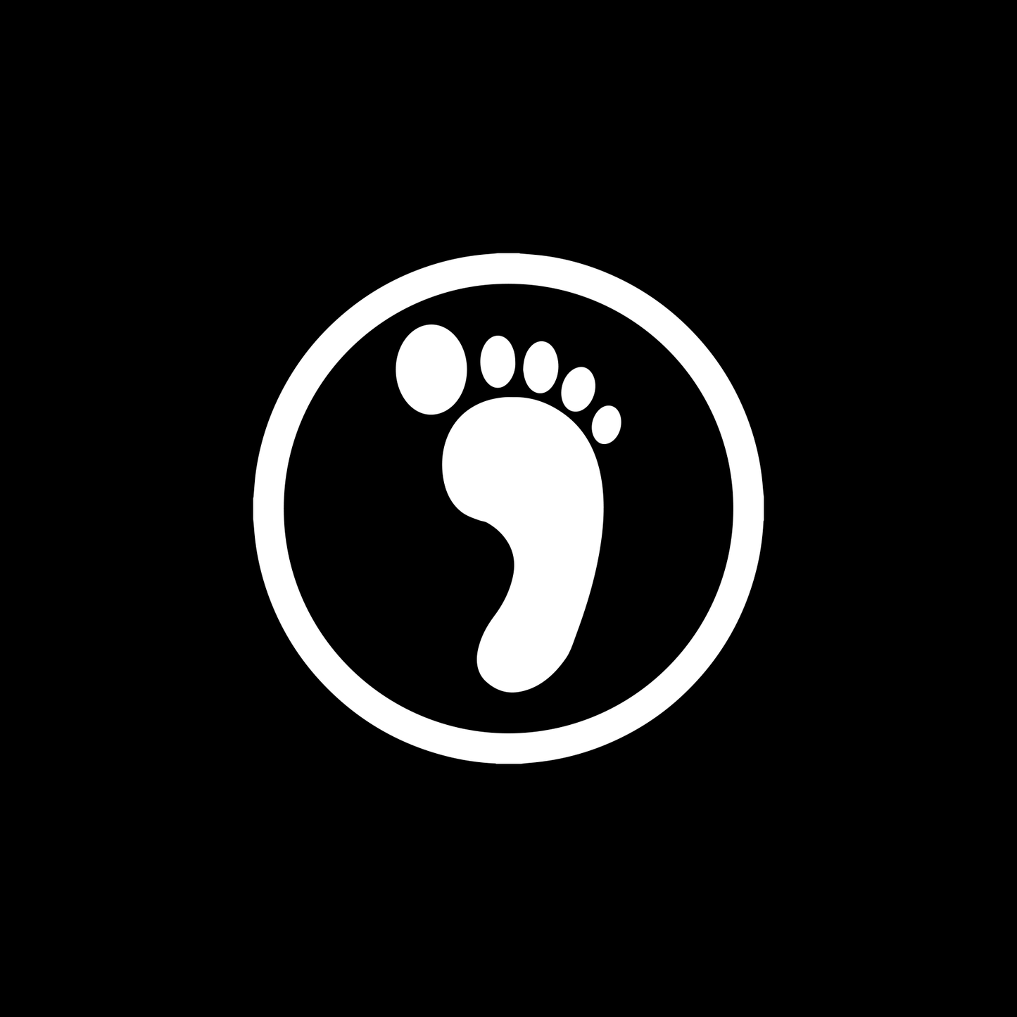 Teenage Mutant Ninja Turtles TMNT Classic Cartoon Foot Clan Logo