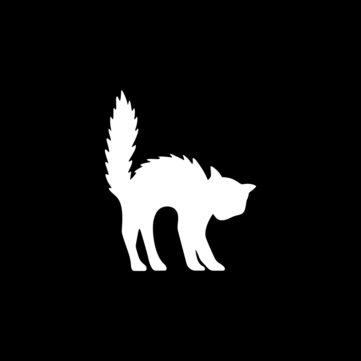 Halloween Scared Black Cat Silhouette