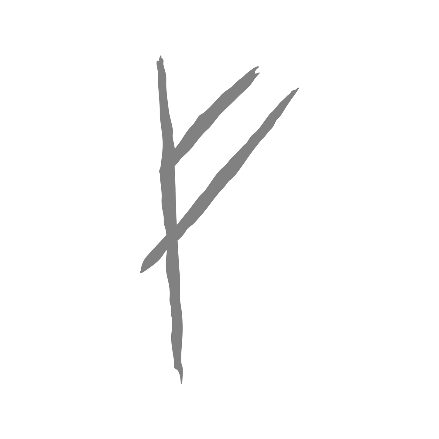 LOTR Lord of the Rings Hobbit Bilbo's Door Rune Movie Decal