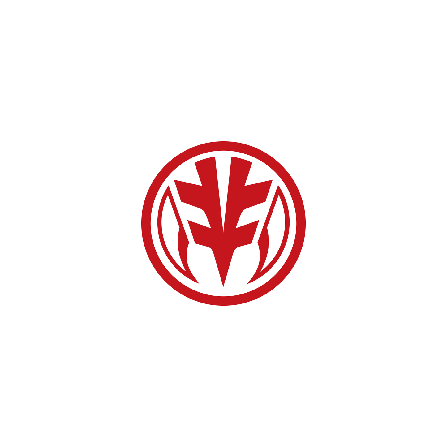 Mighty Morphin Power Rangers White Ranger Tigerzord Symbol