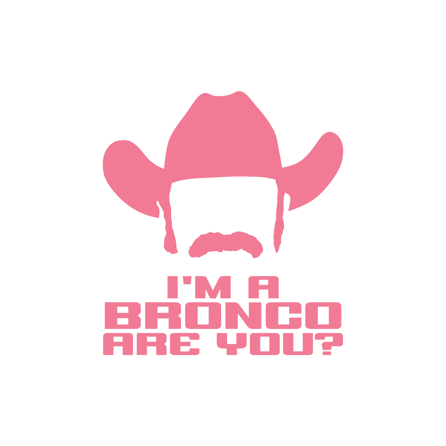 John Bronco Cowboy "I'm A Bronco Are You?"