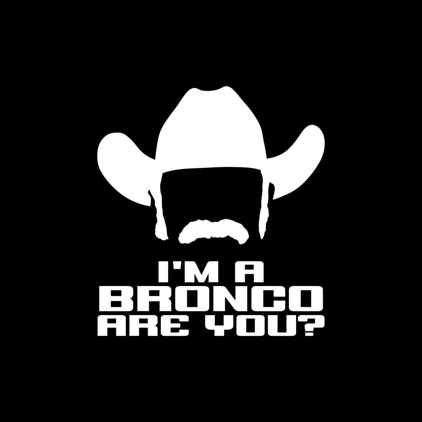 John Bronco Cowboy "I'm A Bronco Are You?"