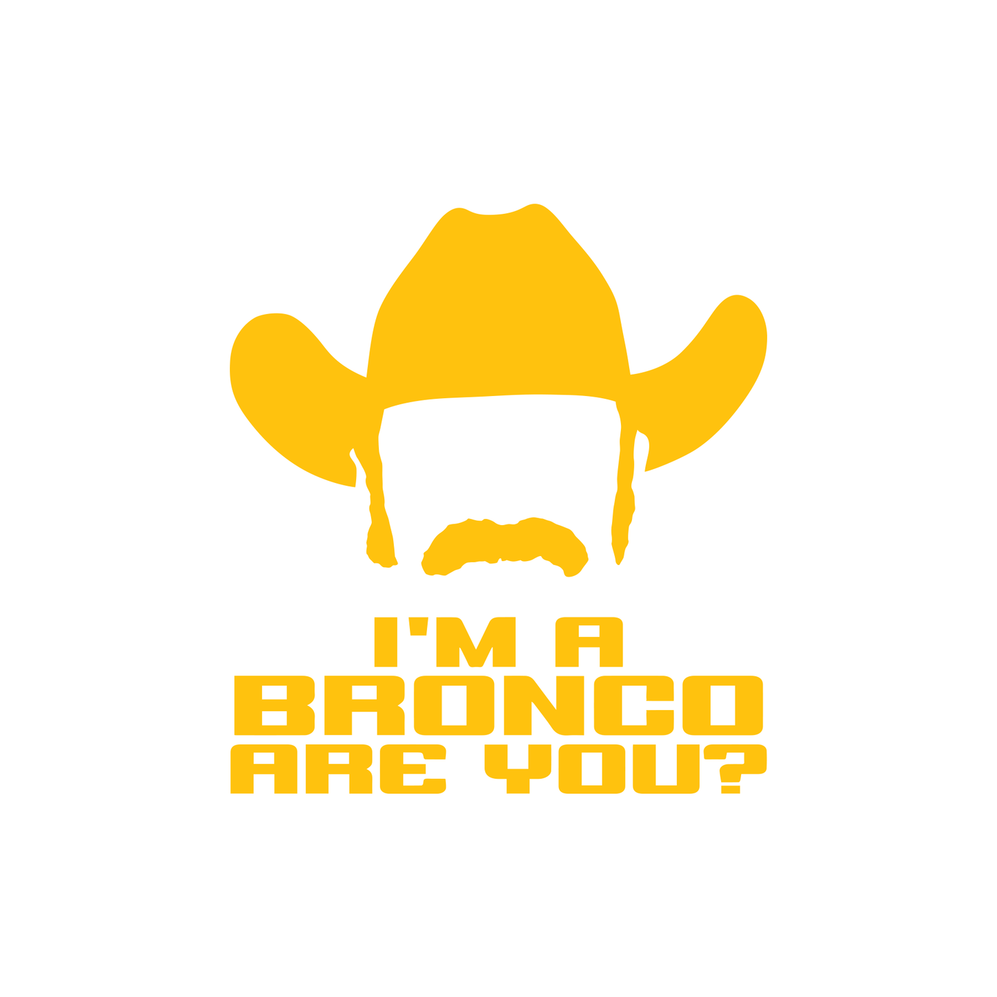 John Bronco Cowboy "I'm A Bronco Are You?"