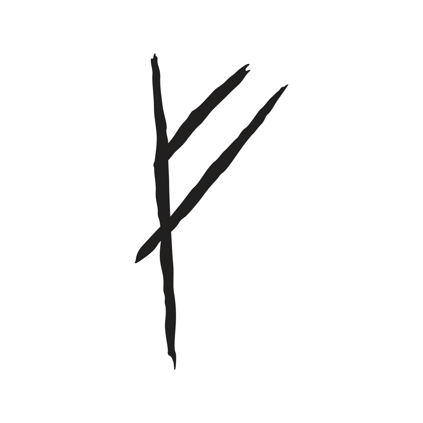 LOTR Lord of the Rings Hobbit Bilbo's Door Rune Movie Decal