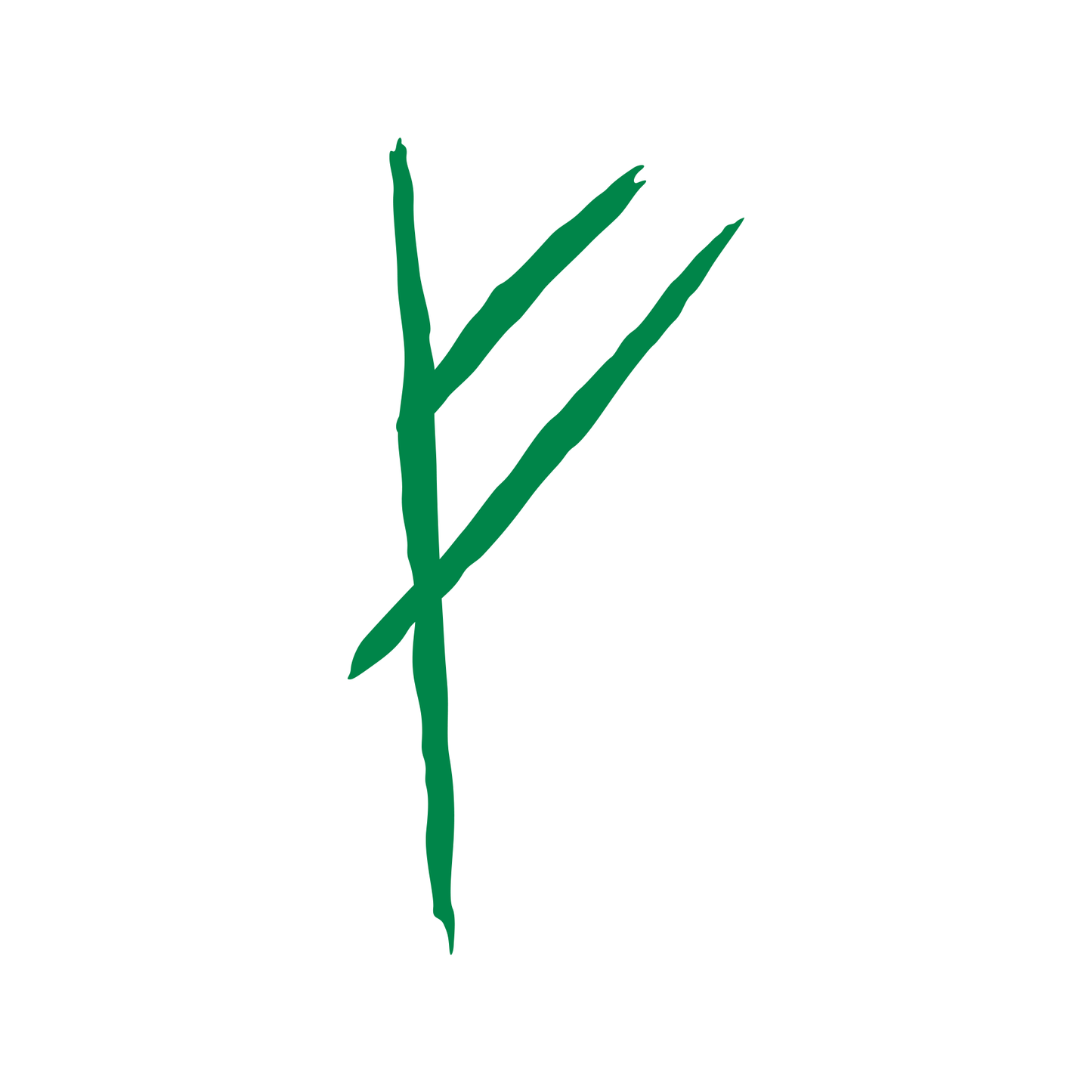 LOTR Lord of the Rings Hobbit Bilbo's Door Rune Movie Decal
