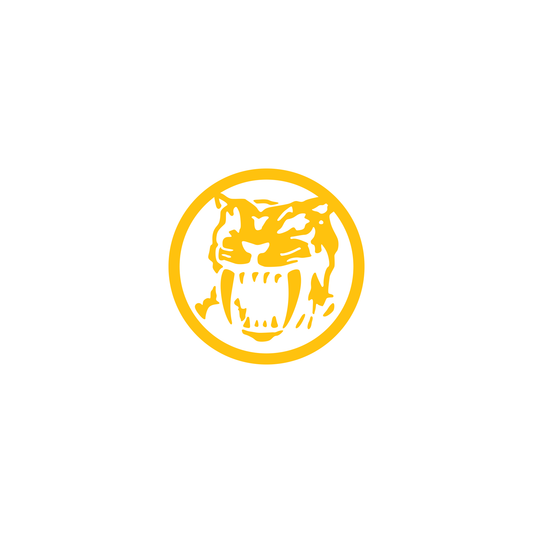 Mighty Morphin Power Rangers Yellow Ranger Saber-Toothed Tiger Dinozord Symbol