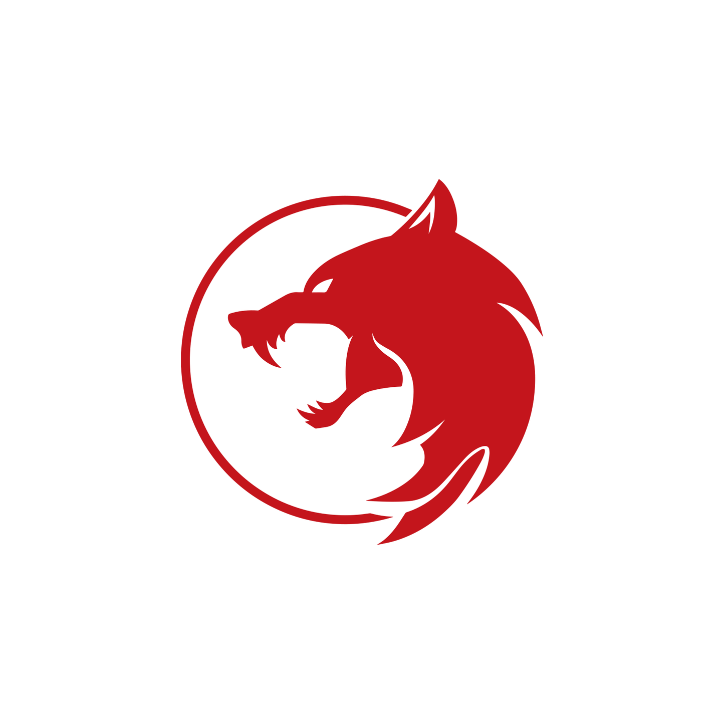 The Witcher Wolf Emblem Logo