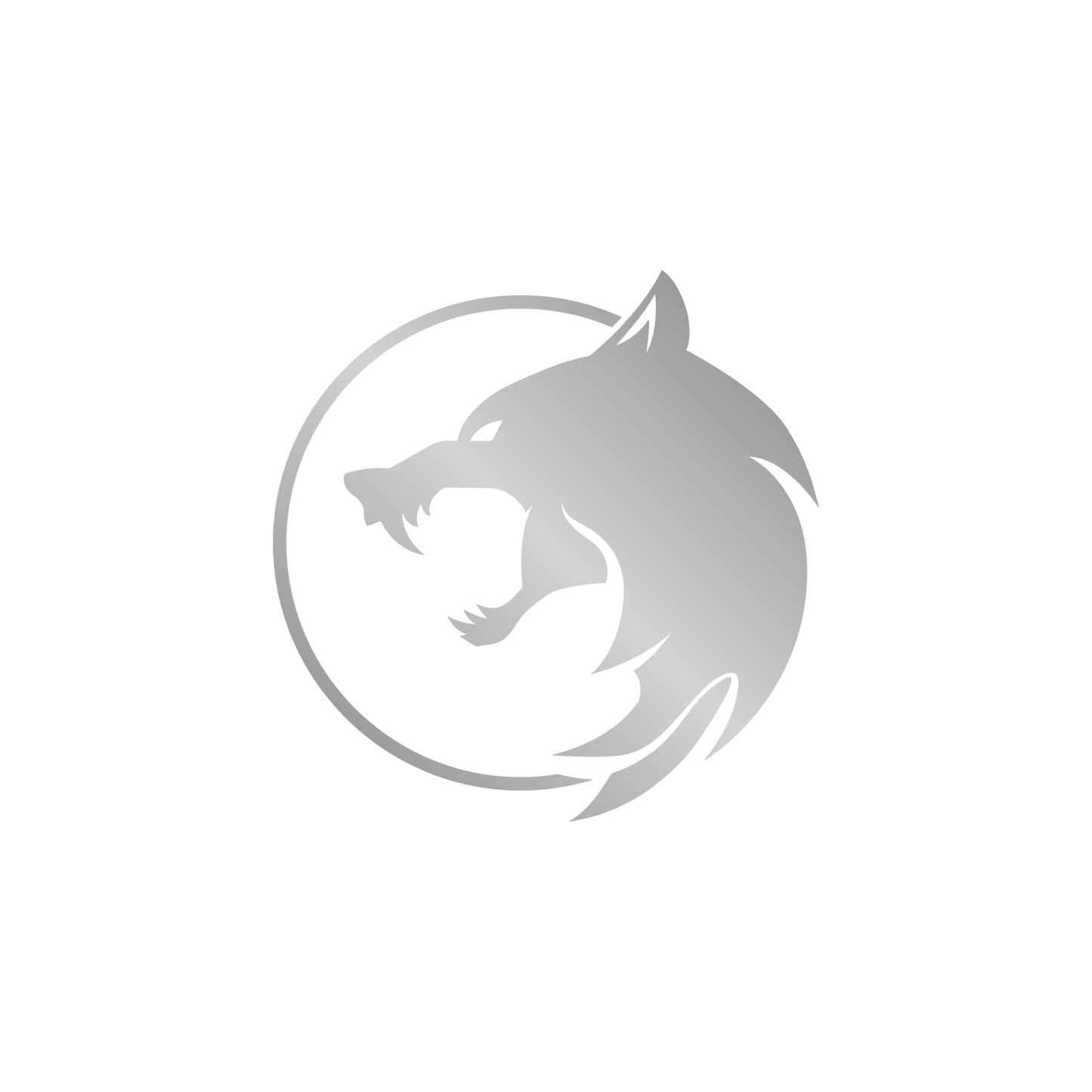 The Witcher Wolf Emblem Logo